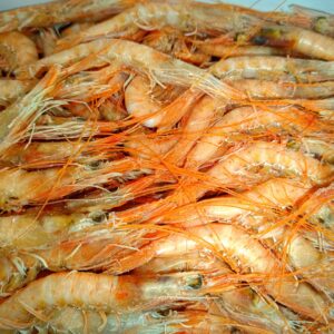 Gamba Blanca  160-185 Pz/kg — MARISCOS · Congelados Guerrero Málaga