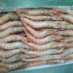 Gamba Blanca 140-160 Pz/kg — MARISCOS · Congelados Guerrero Málaga