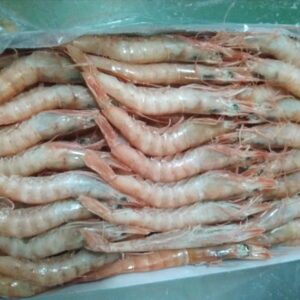 Gamba Blanca 140-160 Pz/kg — MARISCOS · Congelados Guerrero Málaga