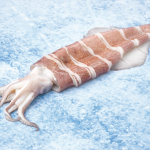 Calamar Troceado Exk 1kg — CEFALÓPODOS · Congelados Guerrero Málaga