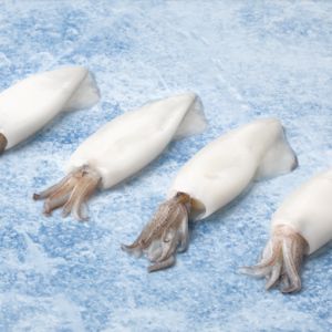 Calamar 20/40 Indio Limpio 1kg — CEFALÓPODOS · Congelados Guerrero Málaga