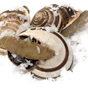 Caracoles Helifrusa 1kg — PRECOCINADOS · Congelados Guerrero Málaga