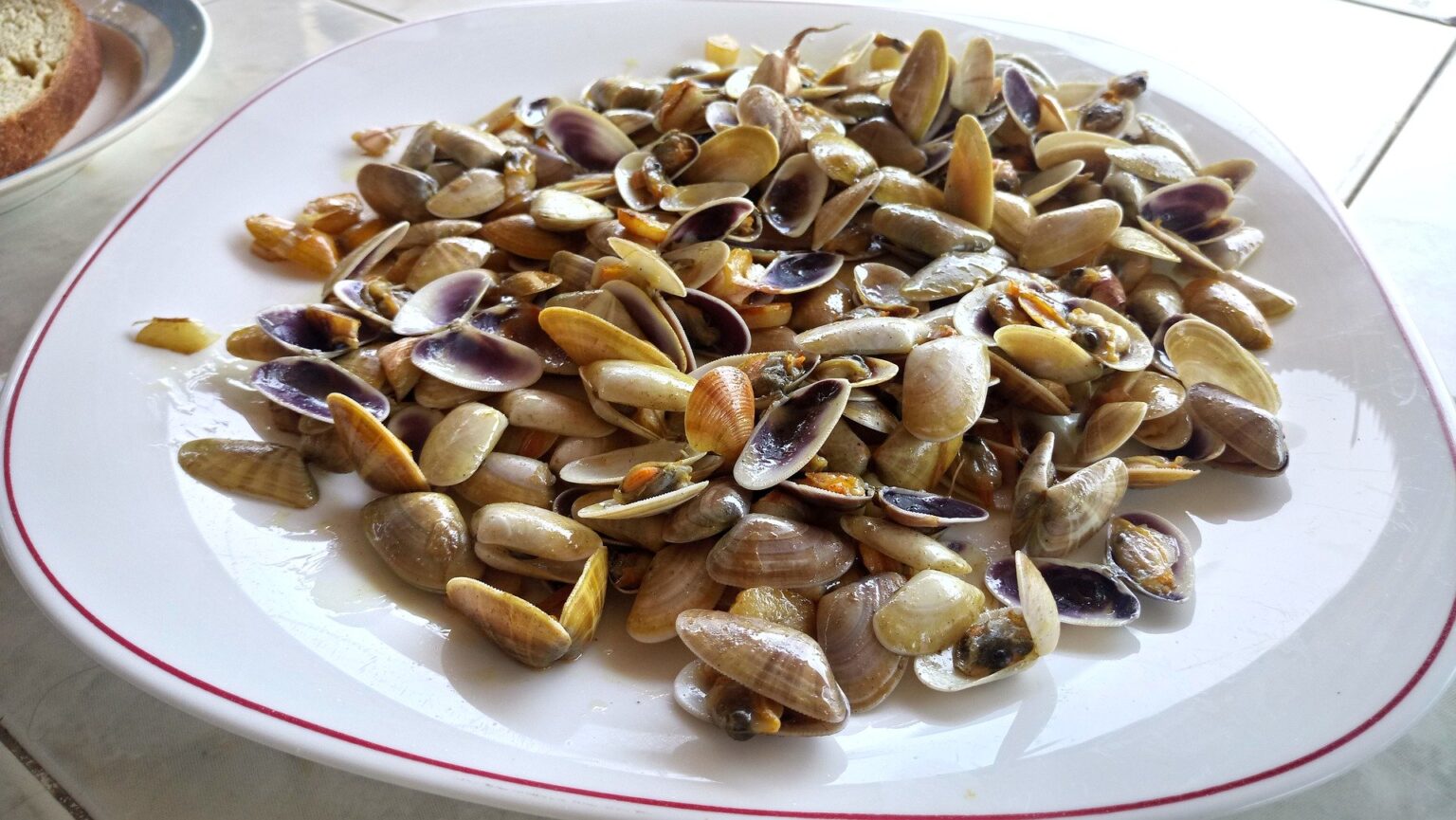 Coquinas cocinadas y abiertas, servidas en un plato listas para comer con pan