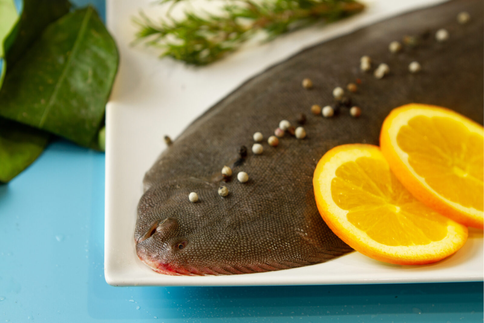 Propiedades Nutritivas del lenguado