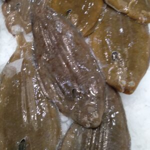 Lenguado 300-400gr Pieza — PESCADO FRESCO · Congelados Guerrero Málaga