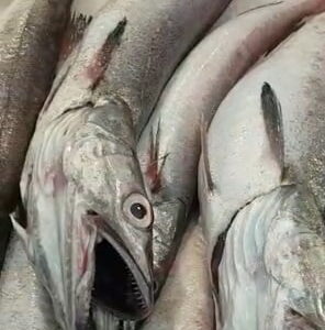 Pescada de Caleta 300-500gr — PESCADO FRESCO · Congelados Guerrero Málaga