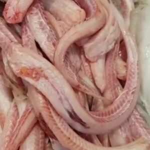 Pintarroja Limpia — PESCADO FRESCO · Congelados Guerrero Málaga