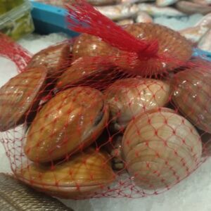 Conchas Finas Frescas — PESCADO FRESCO · Congelados Guerrero Málaga