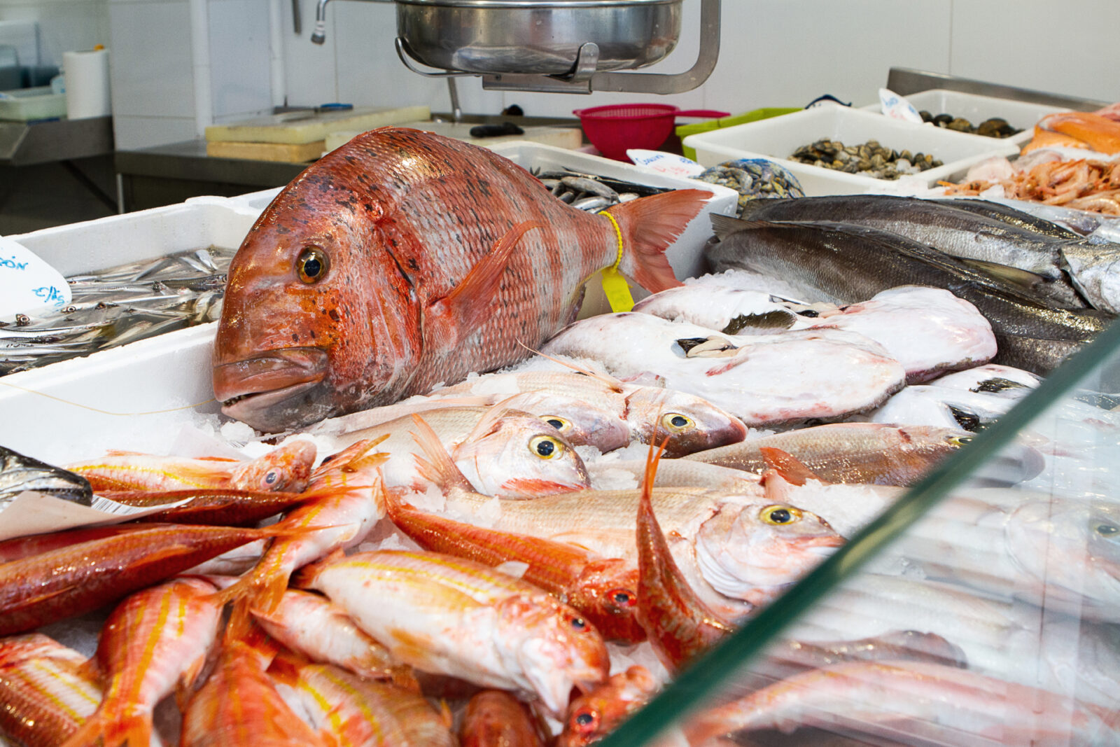 ¿Consumir pescado azul o pescado blanco?