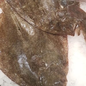 Rodaballo 900-1000  Pieza — PESCADO FRESCO · Congelados Guerrero Málaga