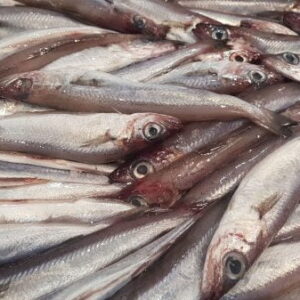 Bacaladillas Frescas — PESCADO FRESCO · Congelados Guerrero Málaga