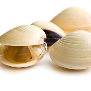 Almejas 60/80 Vt Bmk 1kg — MARISCOS · Congelados Guerrero Málaga