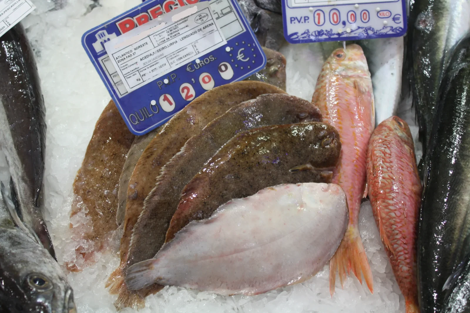 Acedías: qué pescado son, propiedades y cómo cocinarlas