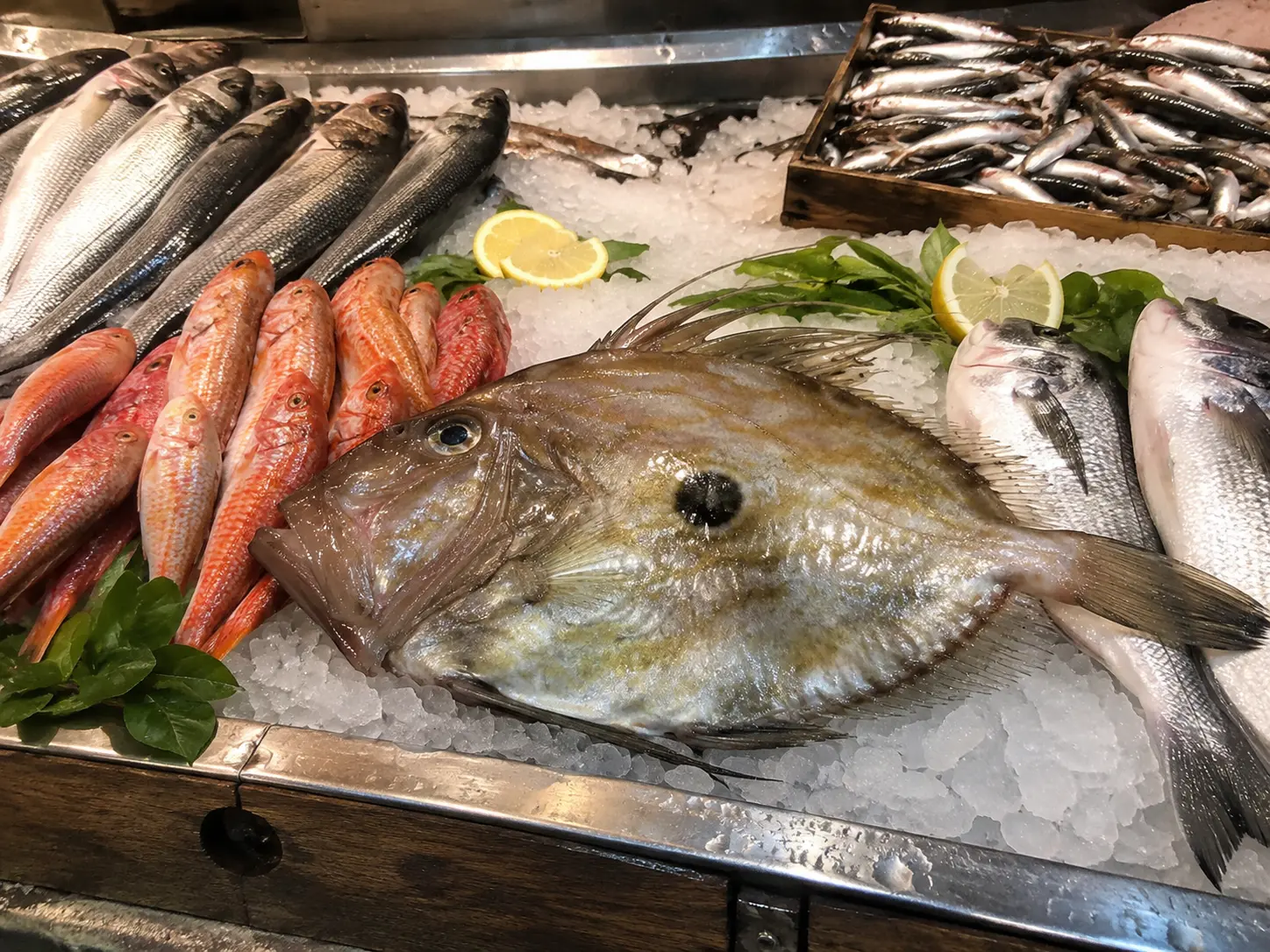 Gallo San Pedro fresco en una pescadería del Mercado Central de Málaga, sobre hielo con otros pescados mediterráneos