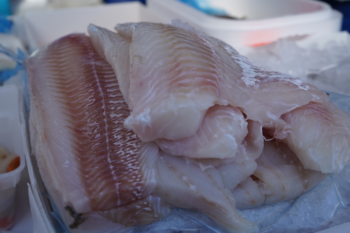 Filetes frescos de pescado blanco sobre hielo en mostrador de pescadería