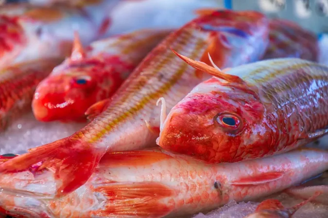 Pescados de temporada