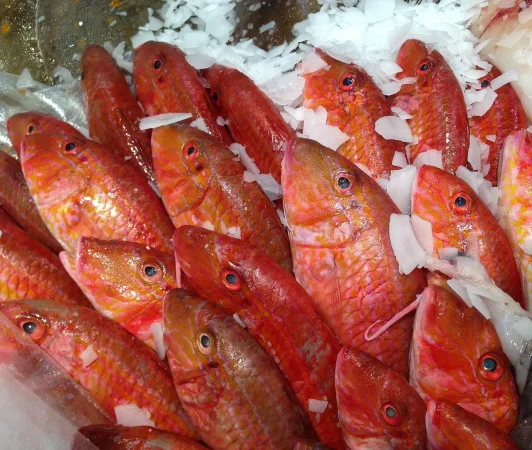 Pescados de temporada2