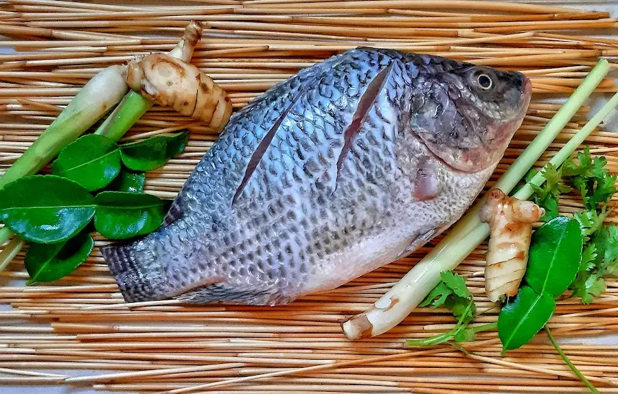 tilapia en una mesa