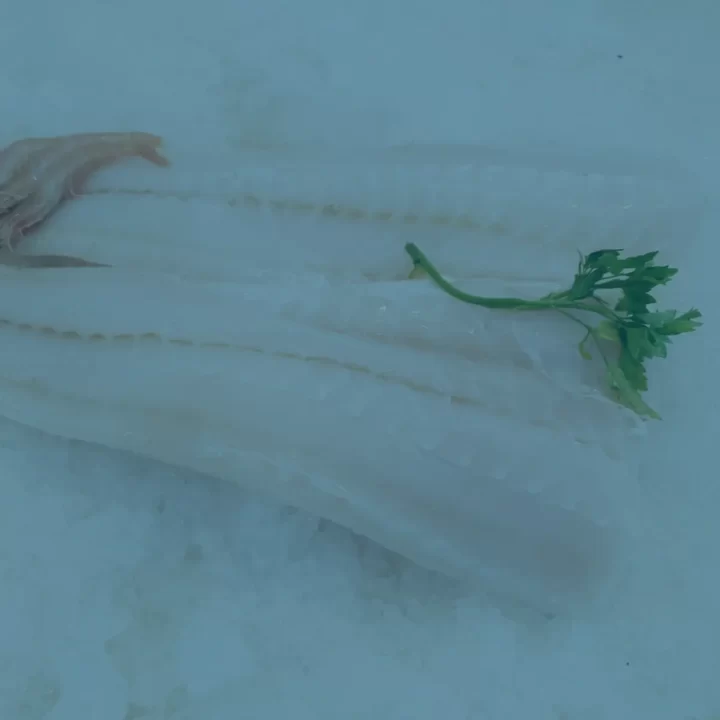 pescados congelados malaga